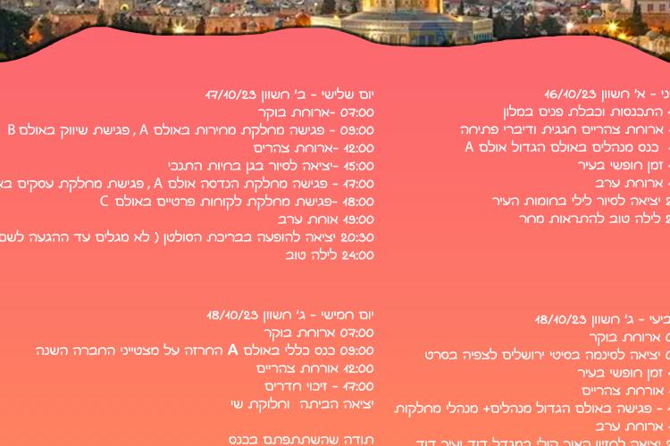 Open Zoomed Related Entry צילום מסך 2023-08-23 123719.png