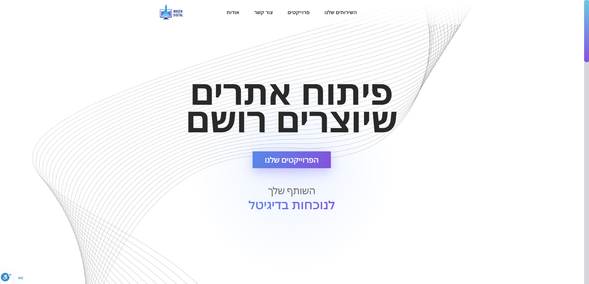 Entry 294595 in Portfolio by נועם זלוף - אתרים שממירים