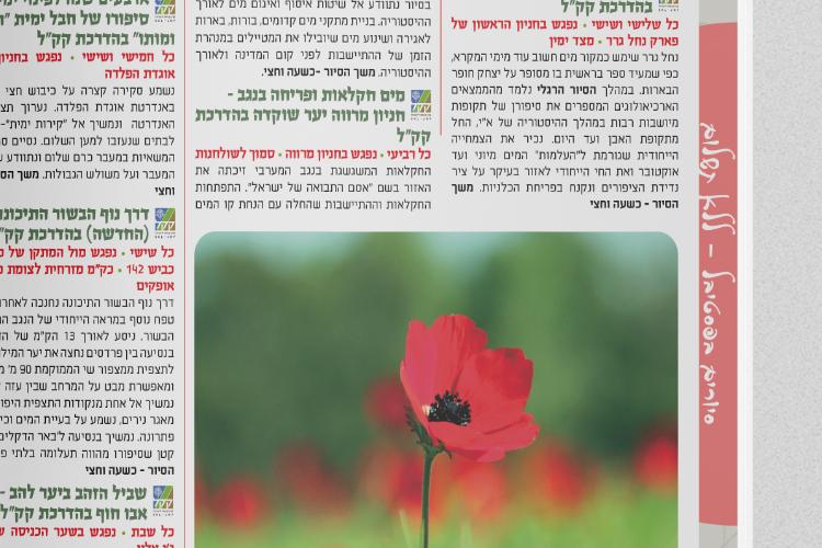 Open Zoomed Related Entry תוכניה-דרום-אדום_מוקאפ_01.jpg