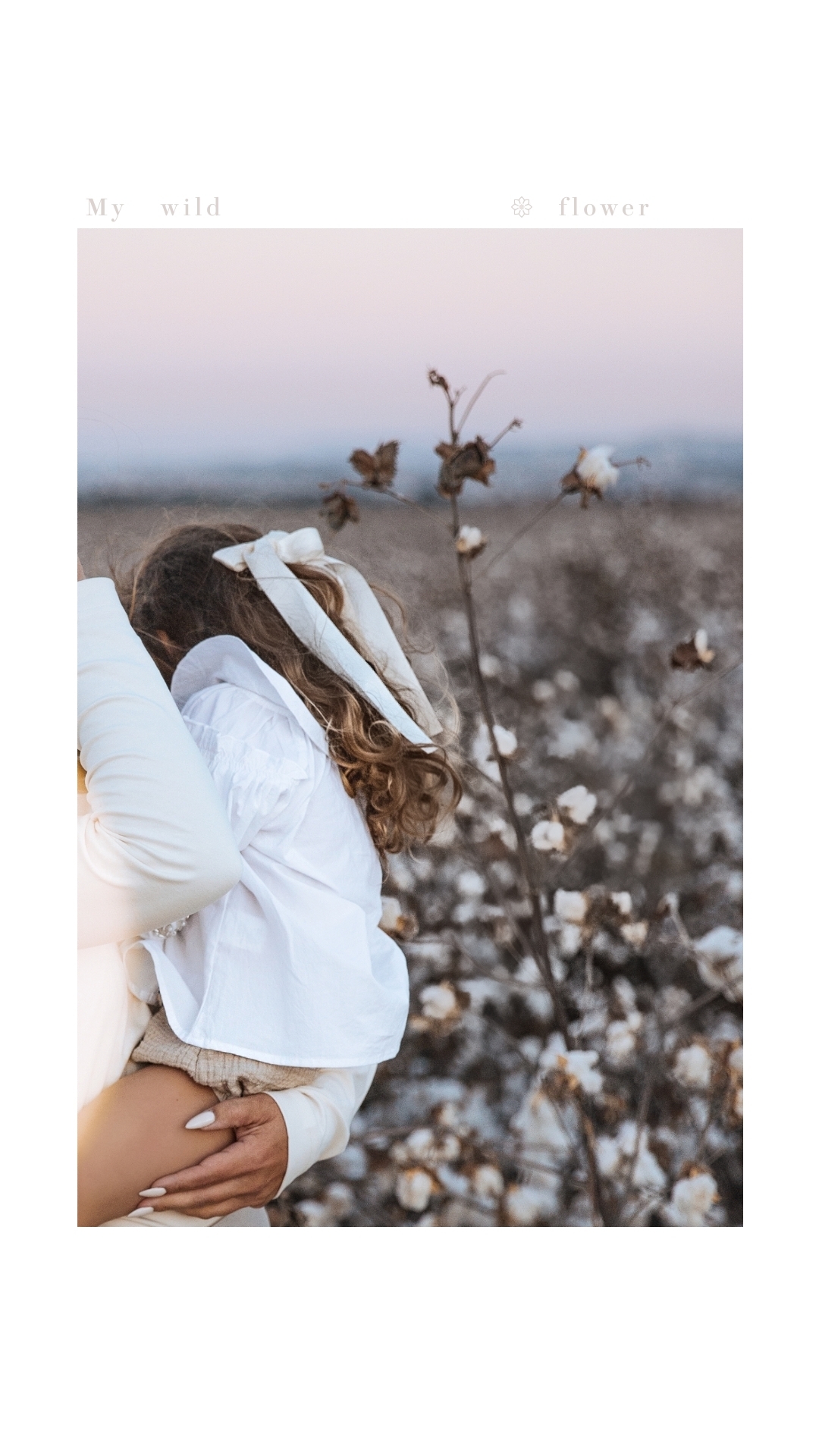 Entry 329424 in Portfolio by Nachal Photography