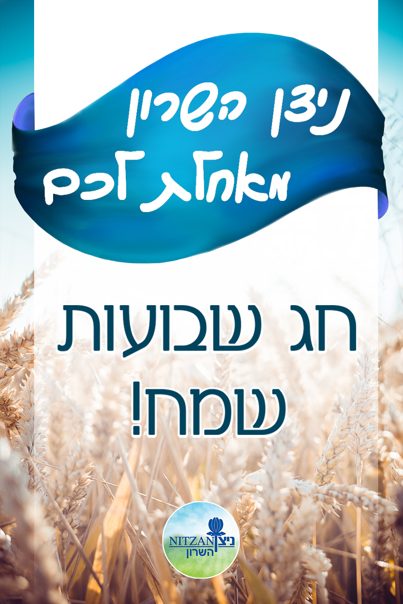 Entry 336268 in Portfolio by גליה גולדברג מתוק שירותי און ליין מדיה