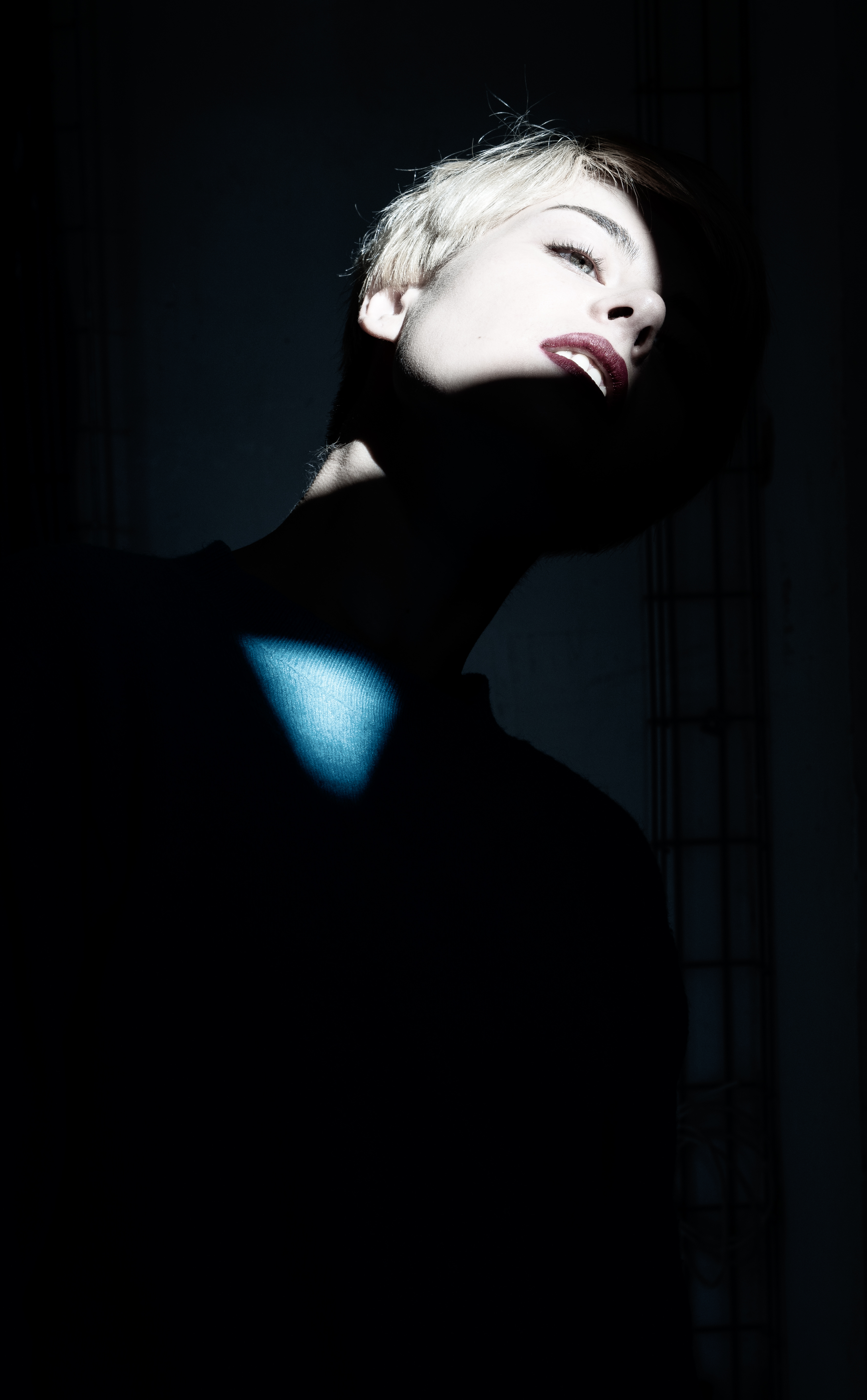 Entry 330560 in Portfolio by Aramiss Photography and Art