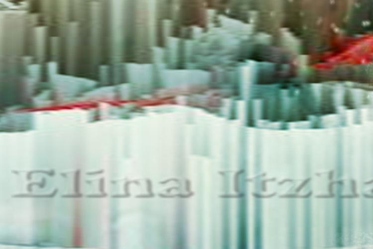 Open Zoomed Related Entry digbird10601elinaHS.jpg