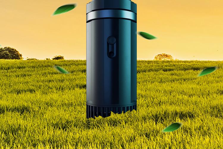 Open Zoomed Related Entry Nature Banner.png