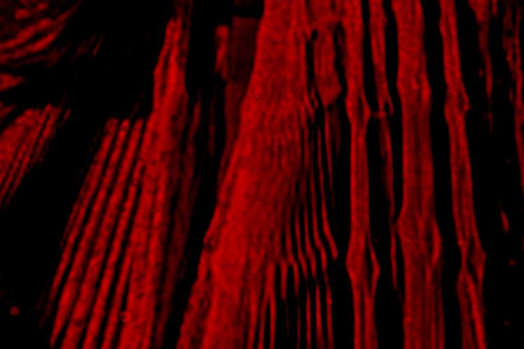 Open Zoomed Related Entry digGIRL133013elinaHS.jpg