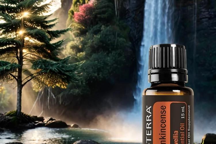 Open Zoomed Related Entry doterra.jpg