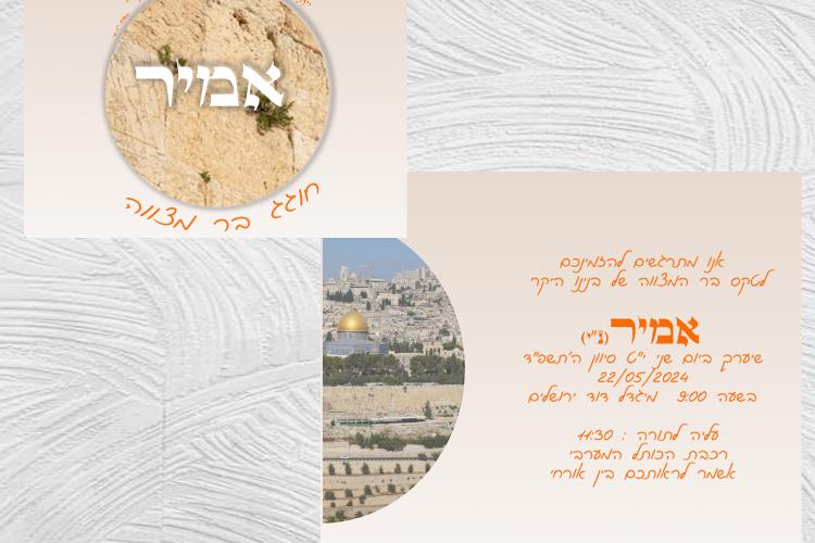 Open Zoomed Related Entry צילום מסך 2024-06-12 123126.png
