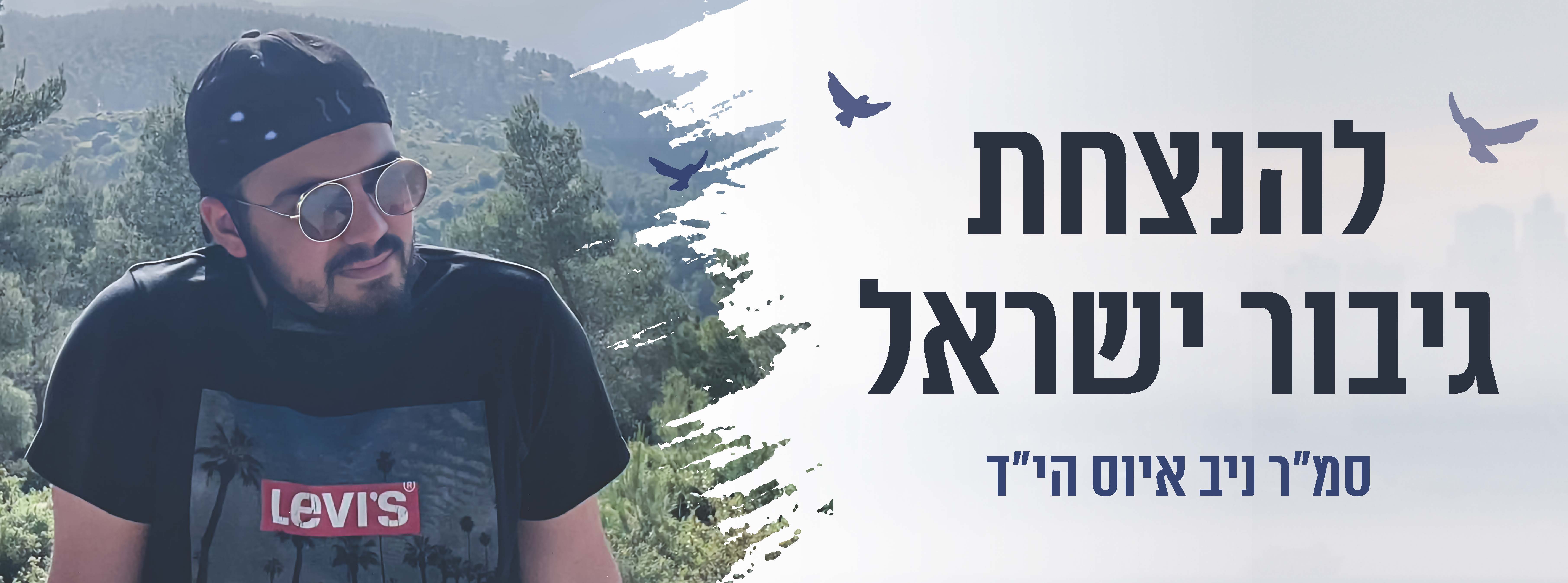 Entry 323593 in Portfolio by ויקטוריה בספלי