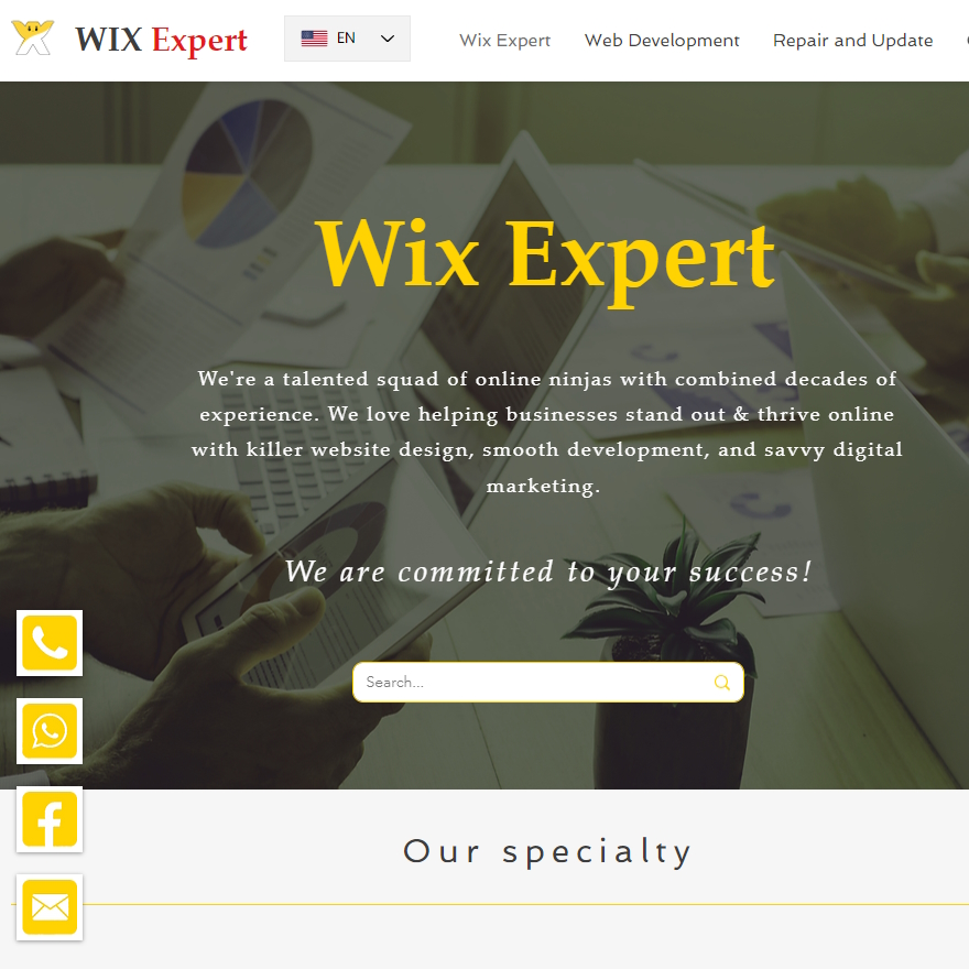 Entry 306299 in Portfolio by Wix Expert