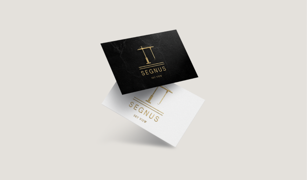 Entry 322020 in Portfolio by SAPIR OFFICE