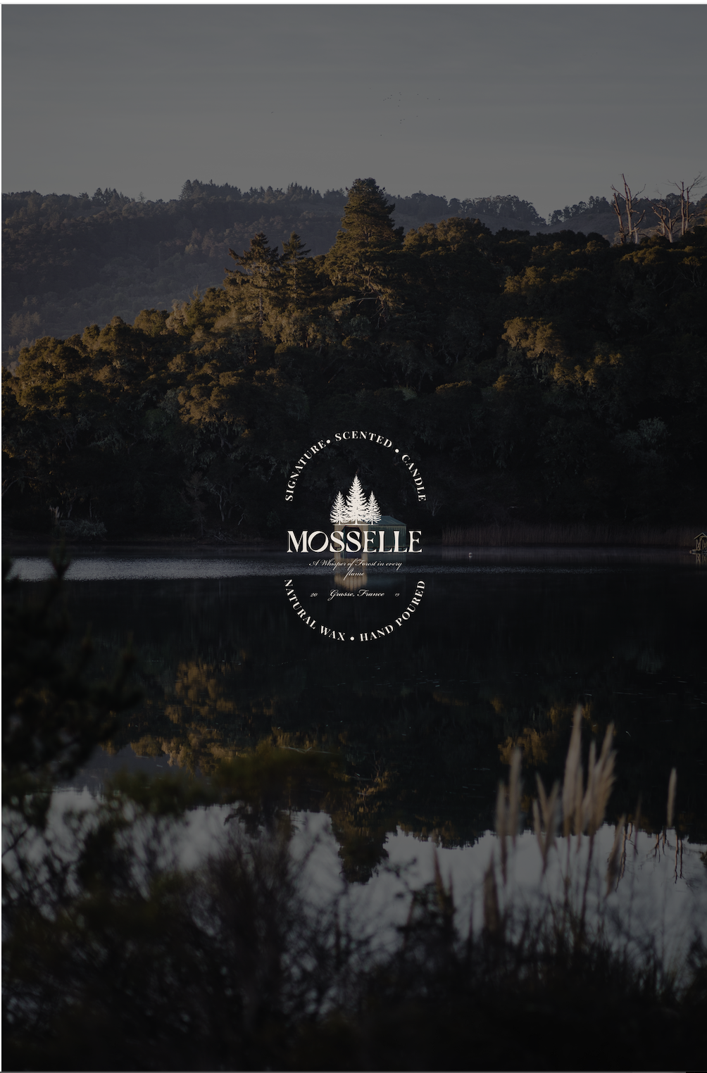 Entry 349953 in Portfolio by Shely Marcel