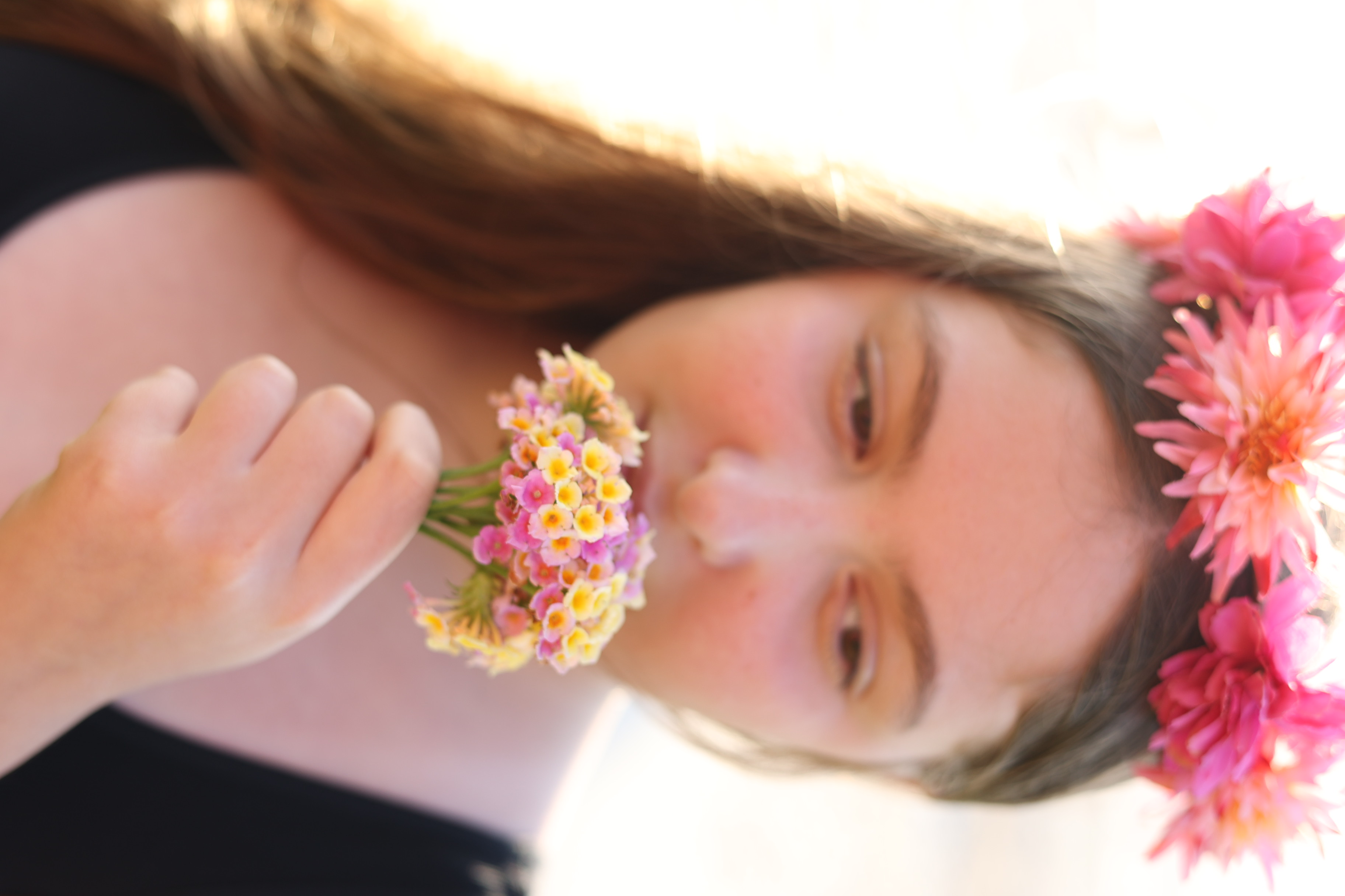 Entry 296651 in Portfolio by liron photography