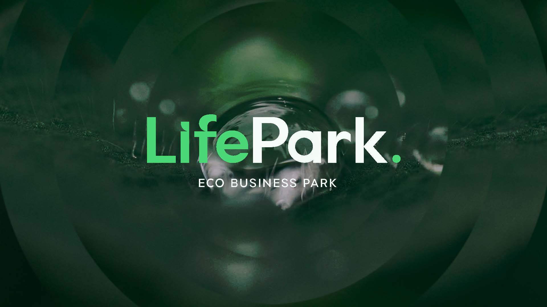 Entry 319460 in Life Park by Sara Karpovich