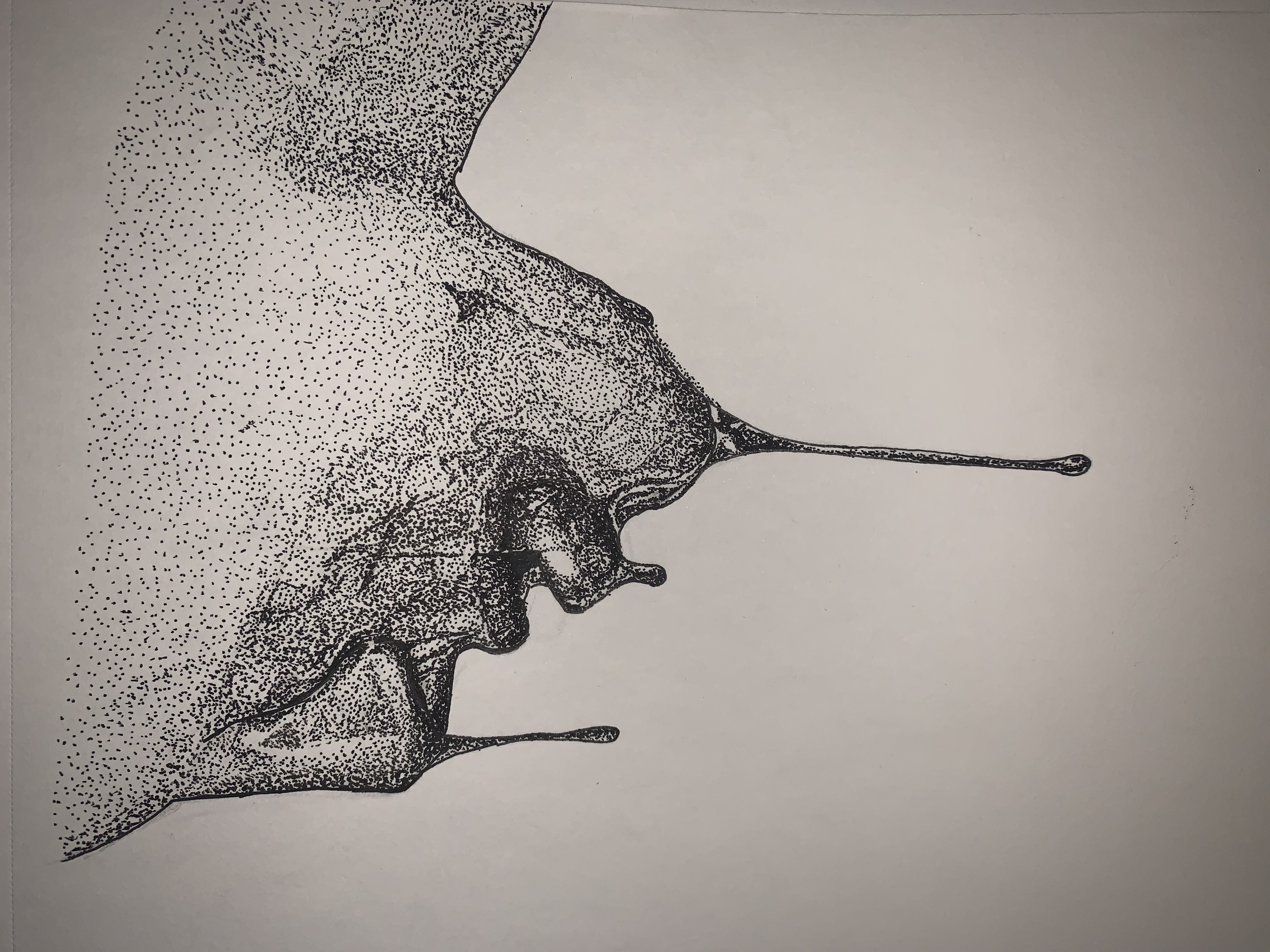 Entry 264347 in Portfolio by Adi Zalk