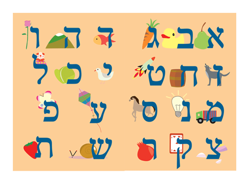 Entry 11325 in Portfolio by ציפה