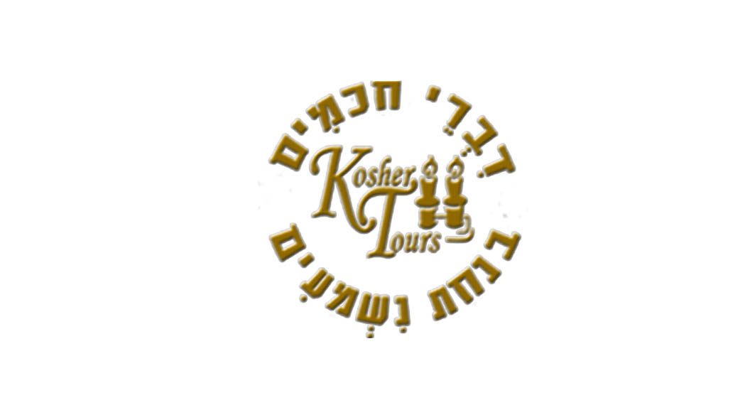 Entry 82784 in לוגואים וכרטיסי ביקור by irina veksler