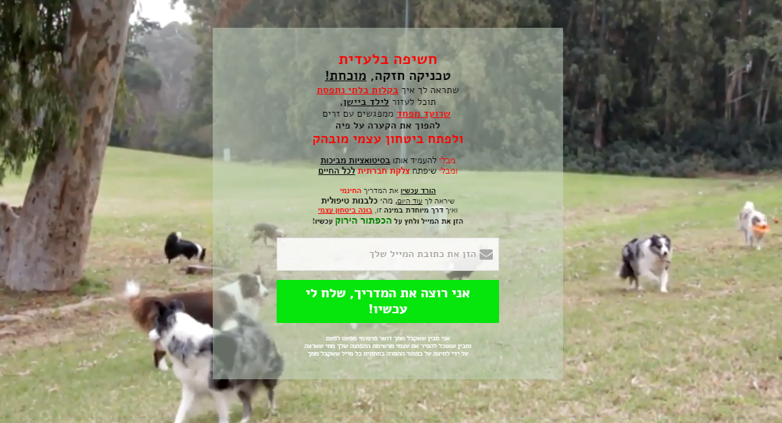 Entry 163712 in דפי נחיתה by אור שוורץ
