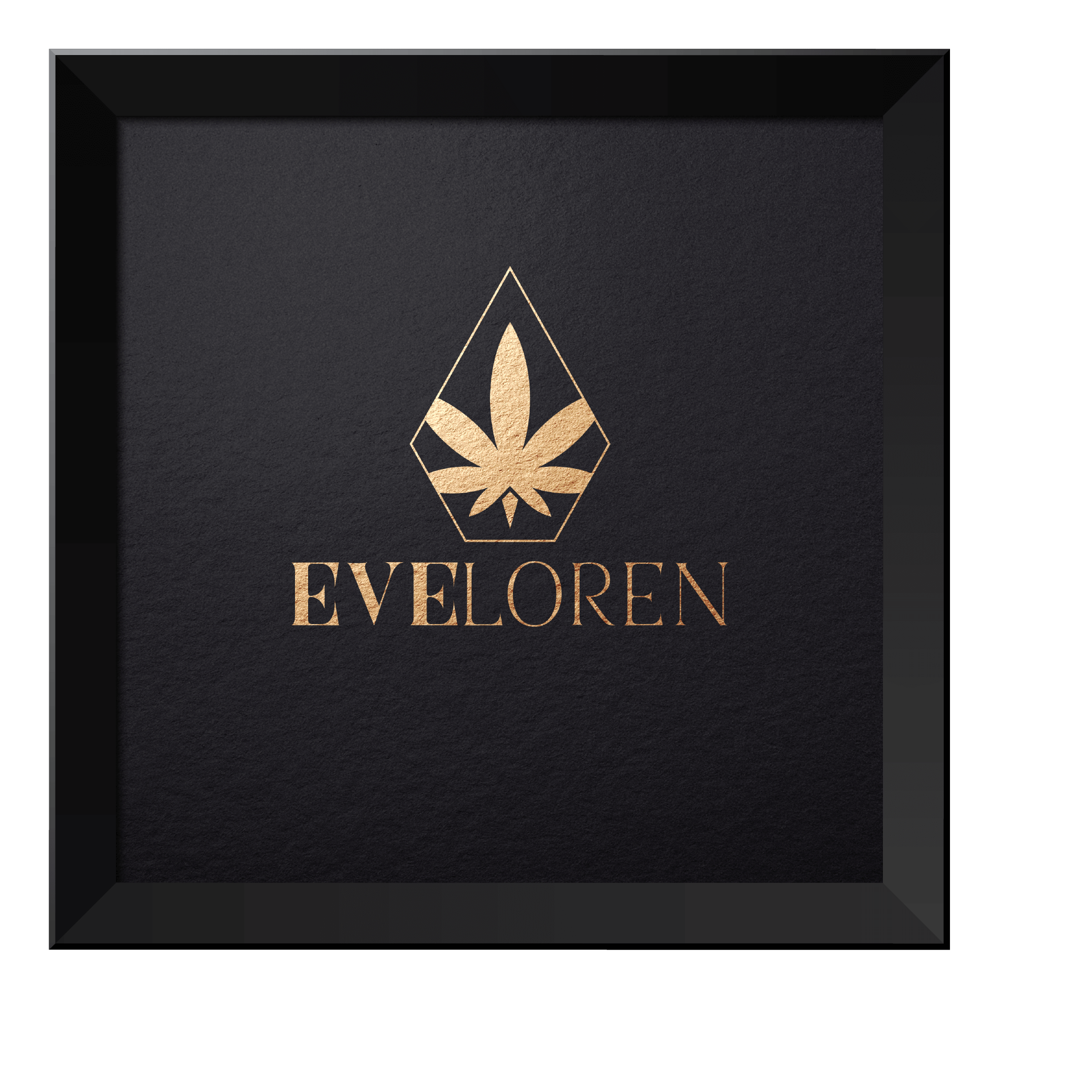 Entry 222400 in Portfolio by Evya
