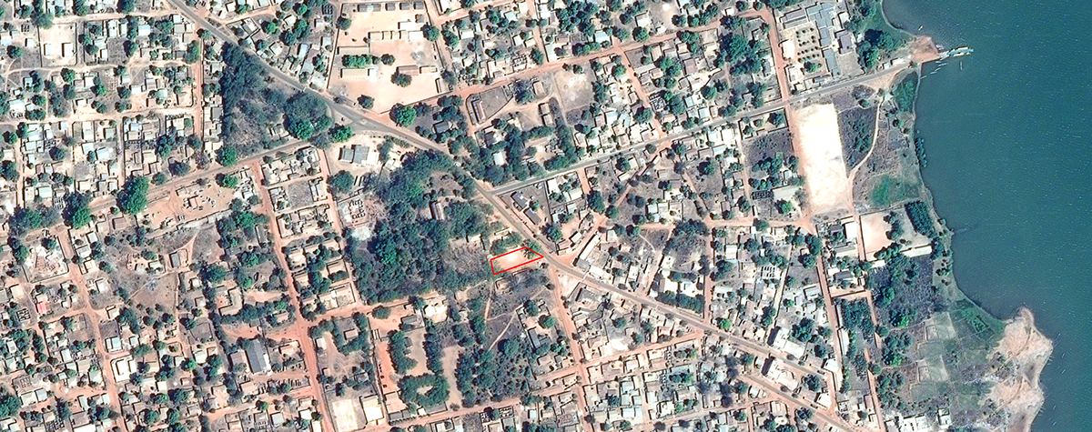 Entry 203024 in Underneath the Baobab by רן ענפי