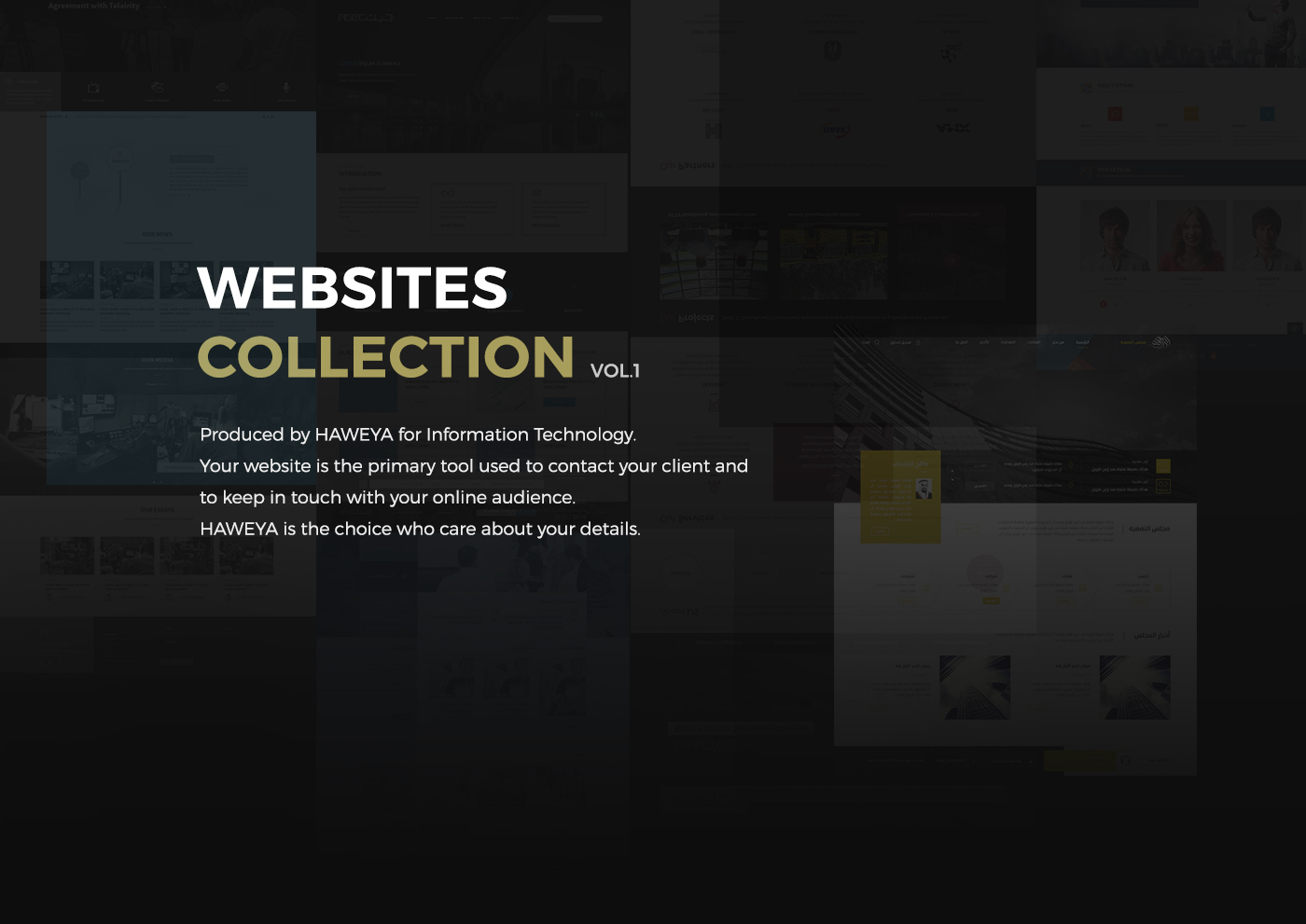Entry 143112 in Websites Collection 2016 Vol.01 by Haweya company