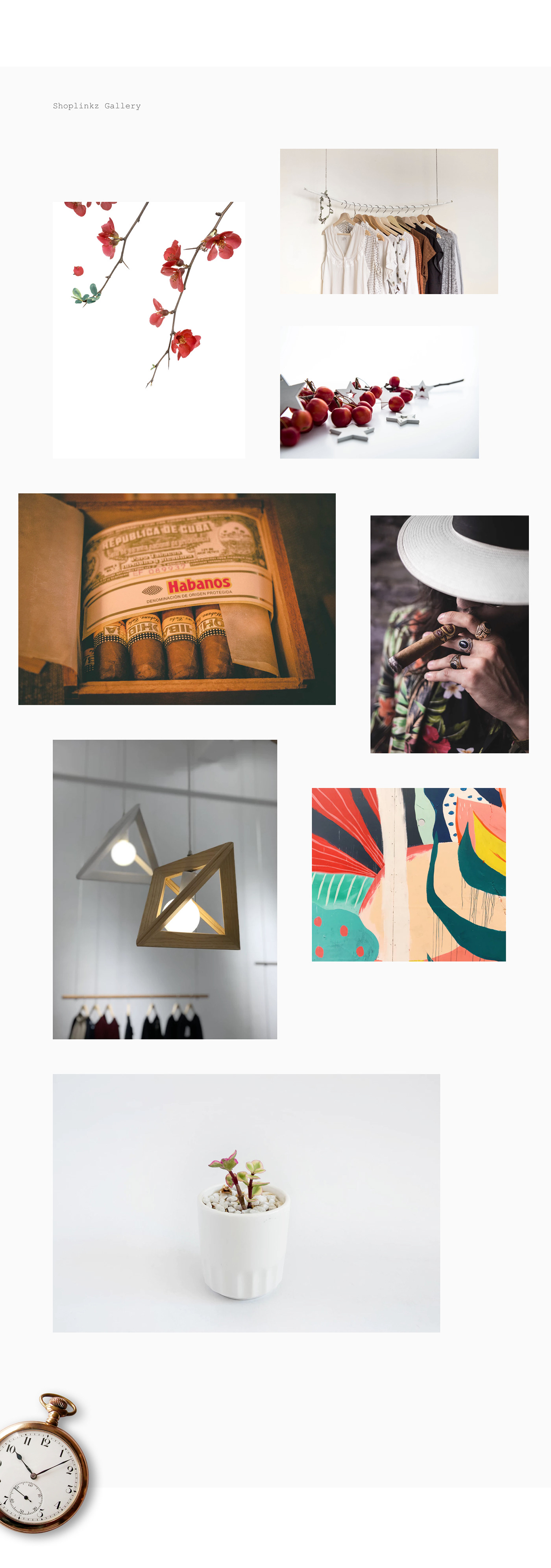 Entry 223519 in Shoplinkz by APM2 studio