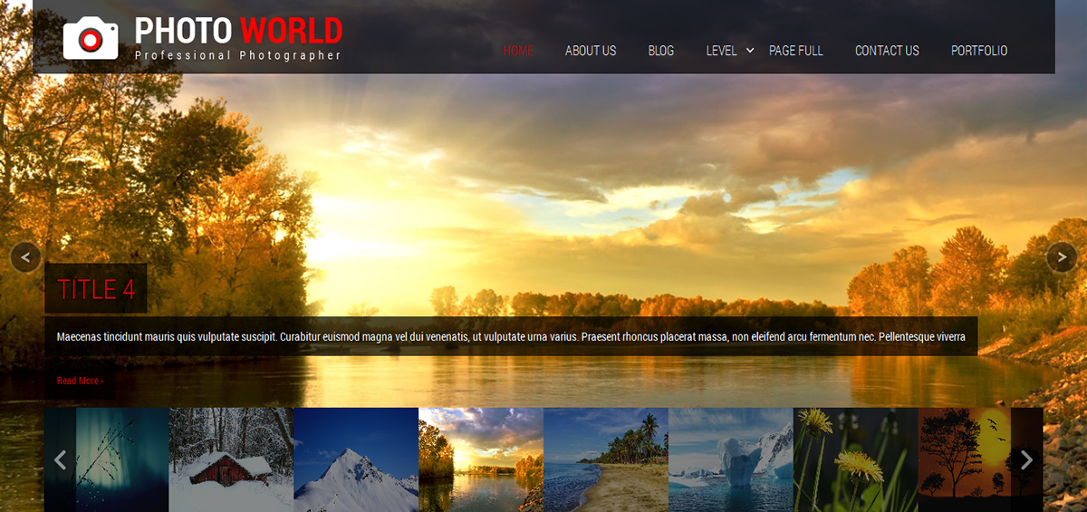 Entry 182566 in Photo World by SKT Themes