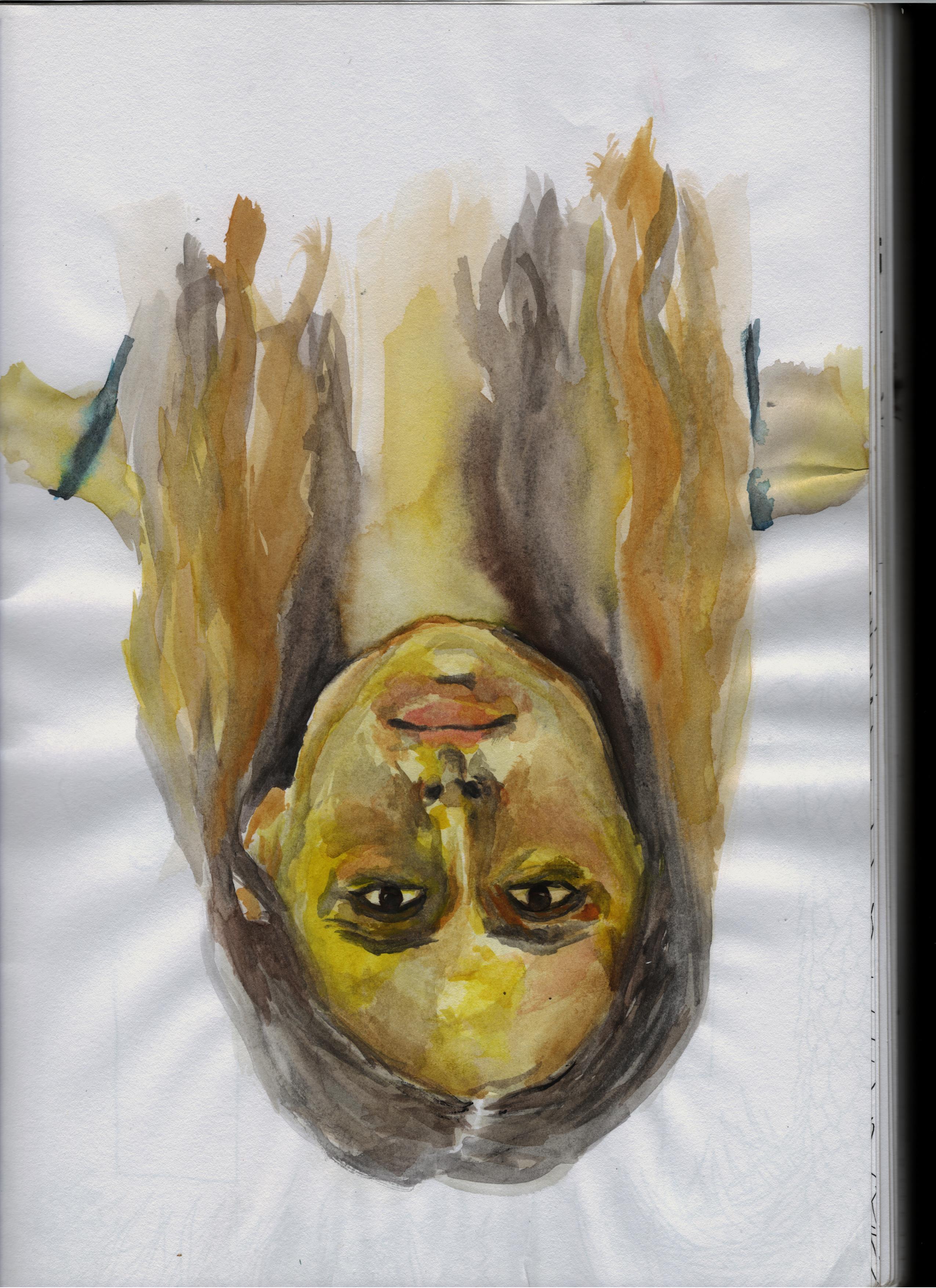 Entry 242464 in Portfolio כללי by מעיין ברקוביץ