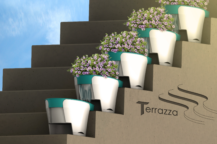 Terrazza thumbnail