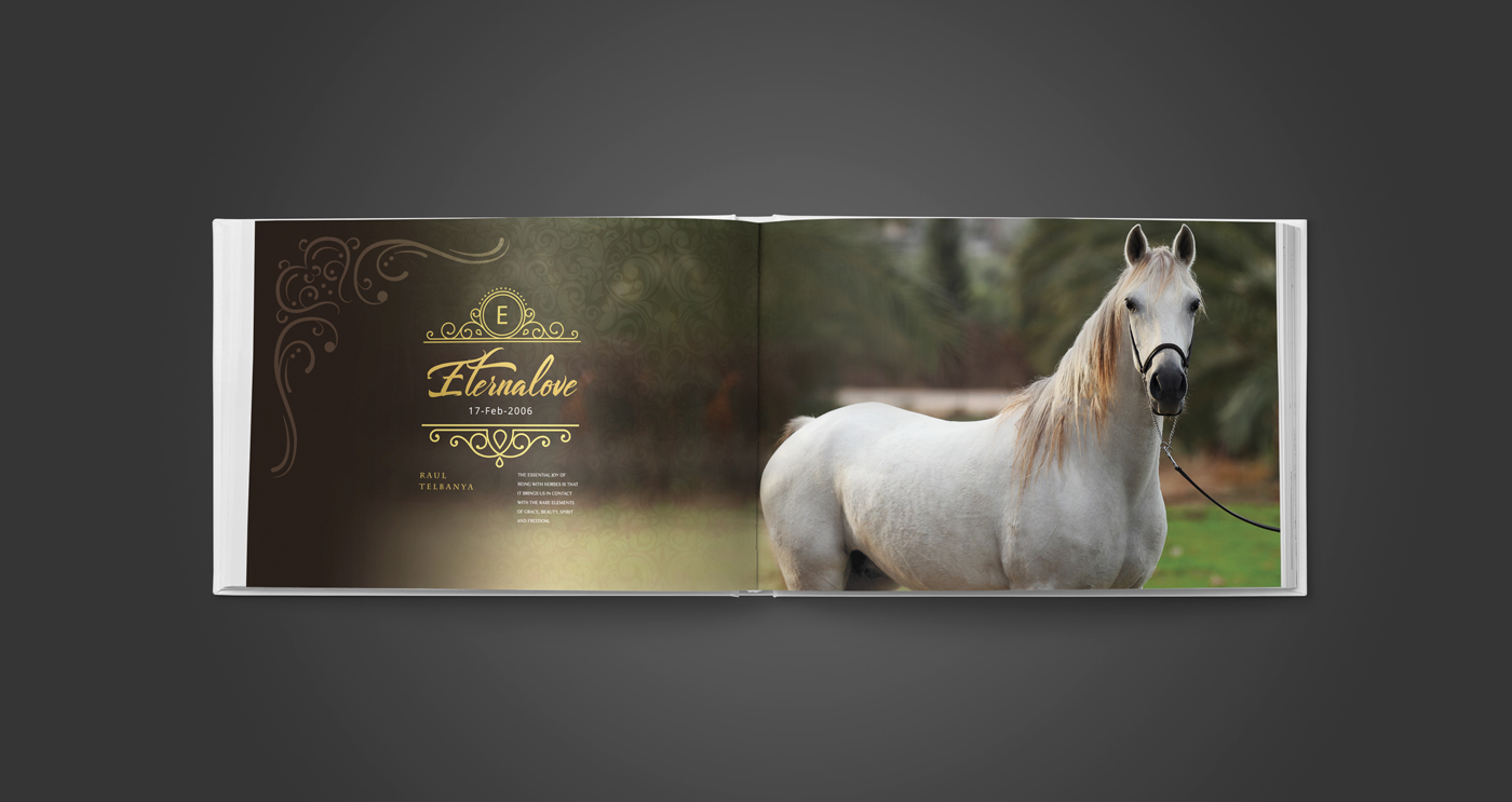 Entry 143063 in AL ASAYIL Catalogue by Haweya company