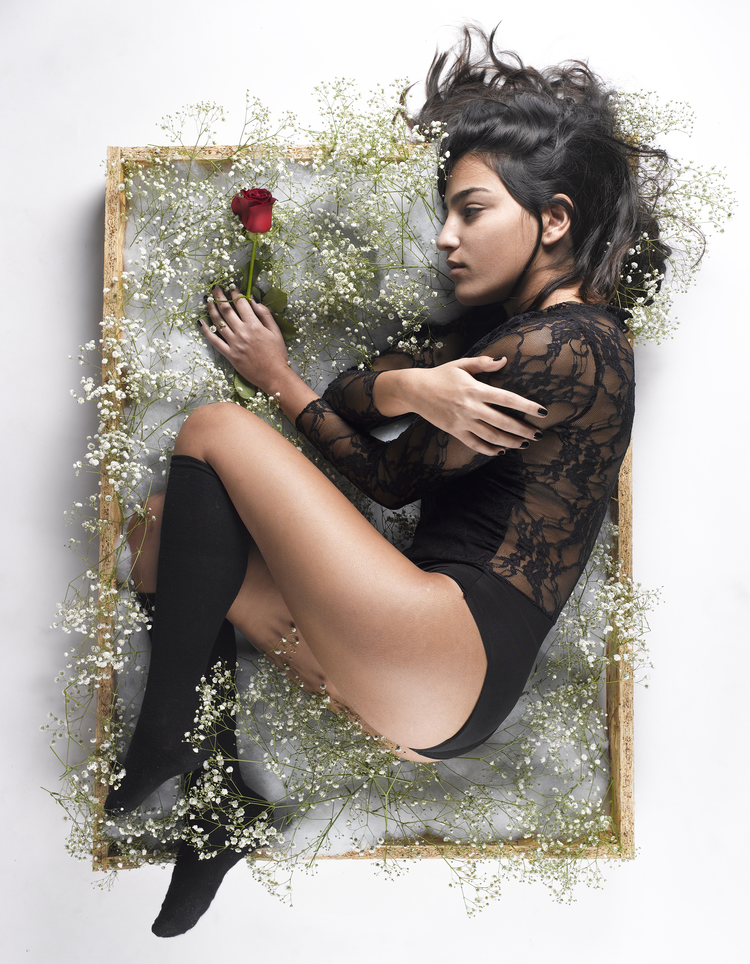 Entry 190555 in Portfolio by Adi dar photography
