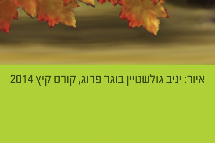 Open Zoomed Related Entry איור ממוחשב.jpg