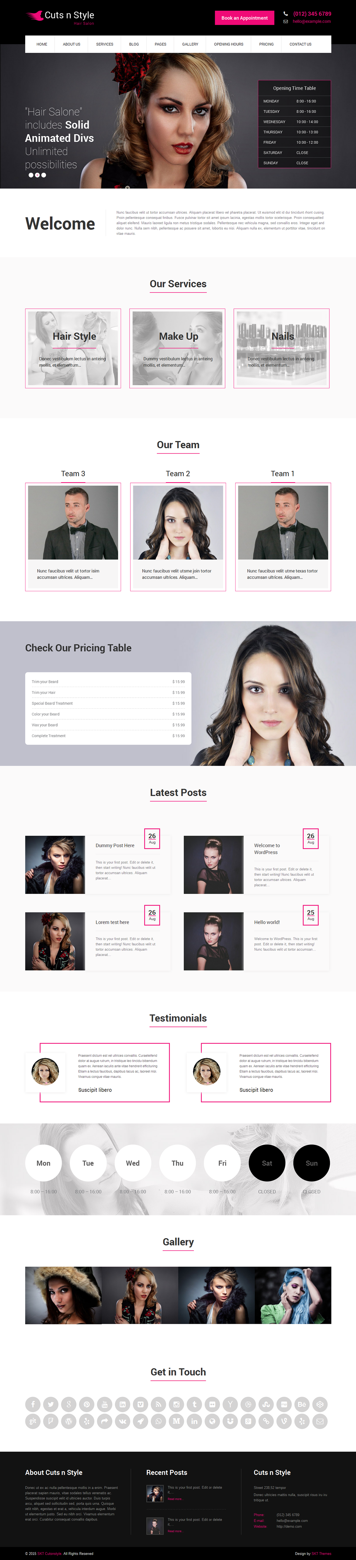 Entry 182574 in CutsNStyle WordPress Theme by SKT Themes