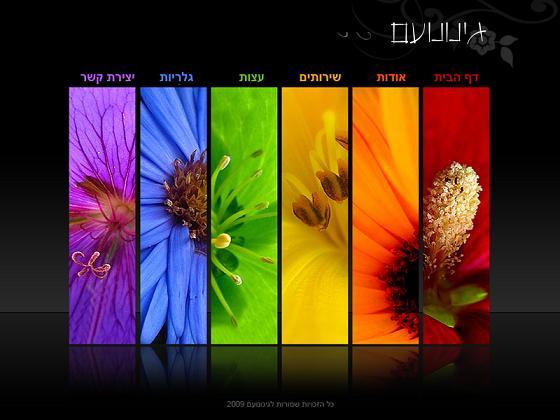 Entry 9796 in Portfolio by Expert Studio