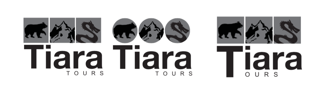 Entry 90210 in Logo concept design Tiara Tours by Dutch Lion Amsterdam