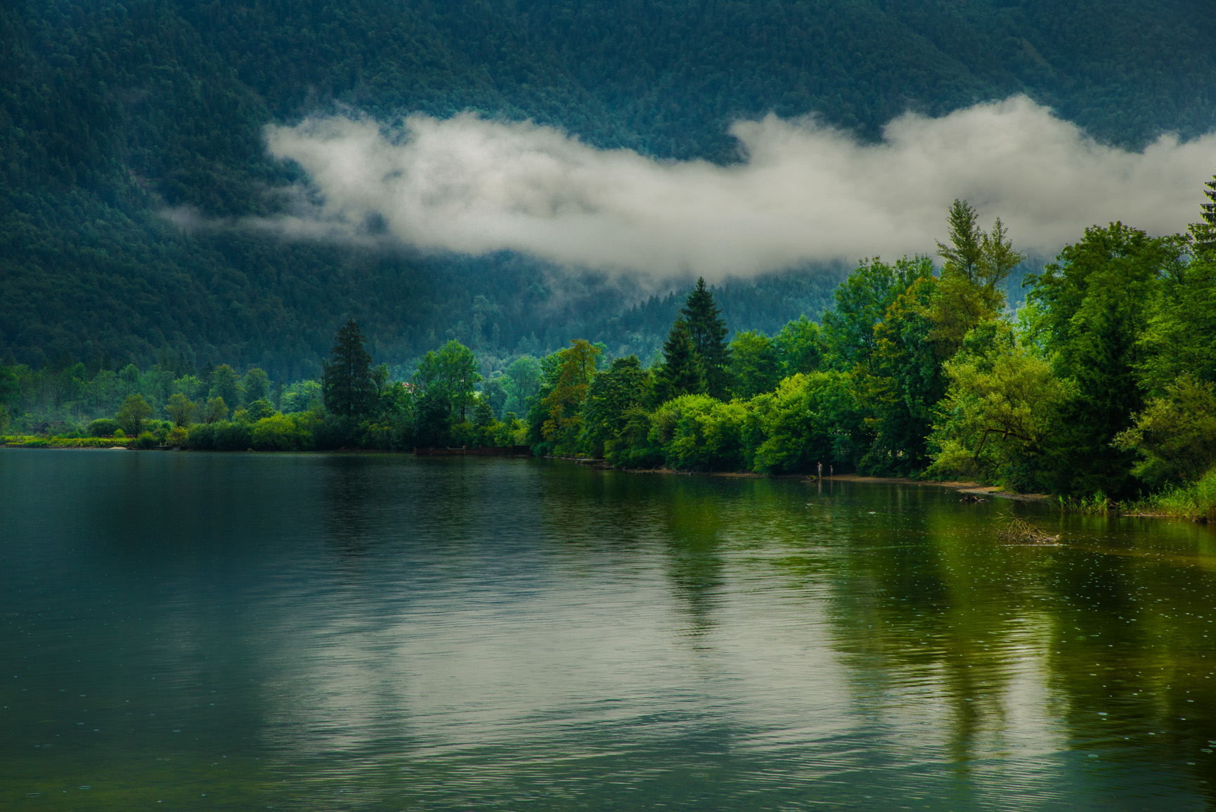 Entry 121138 in Landscapes by Ron Stollman Photography