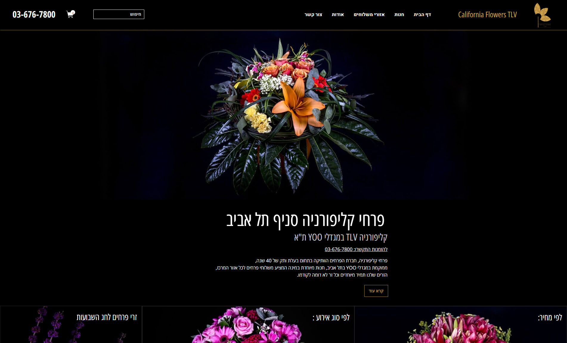 Entry 156848 in Portfolio by יוסי טק