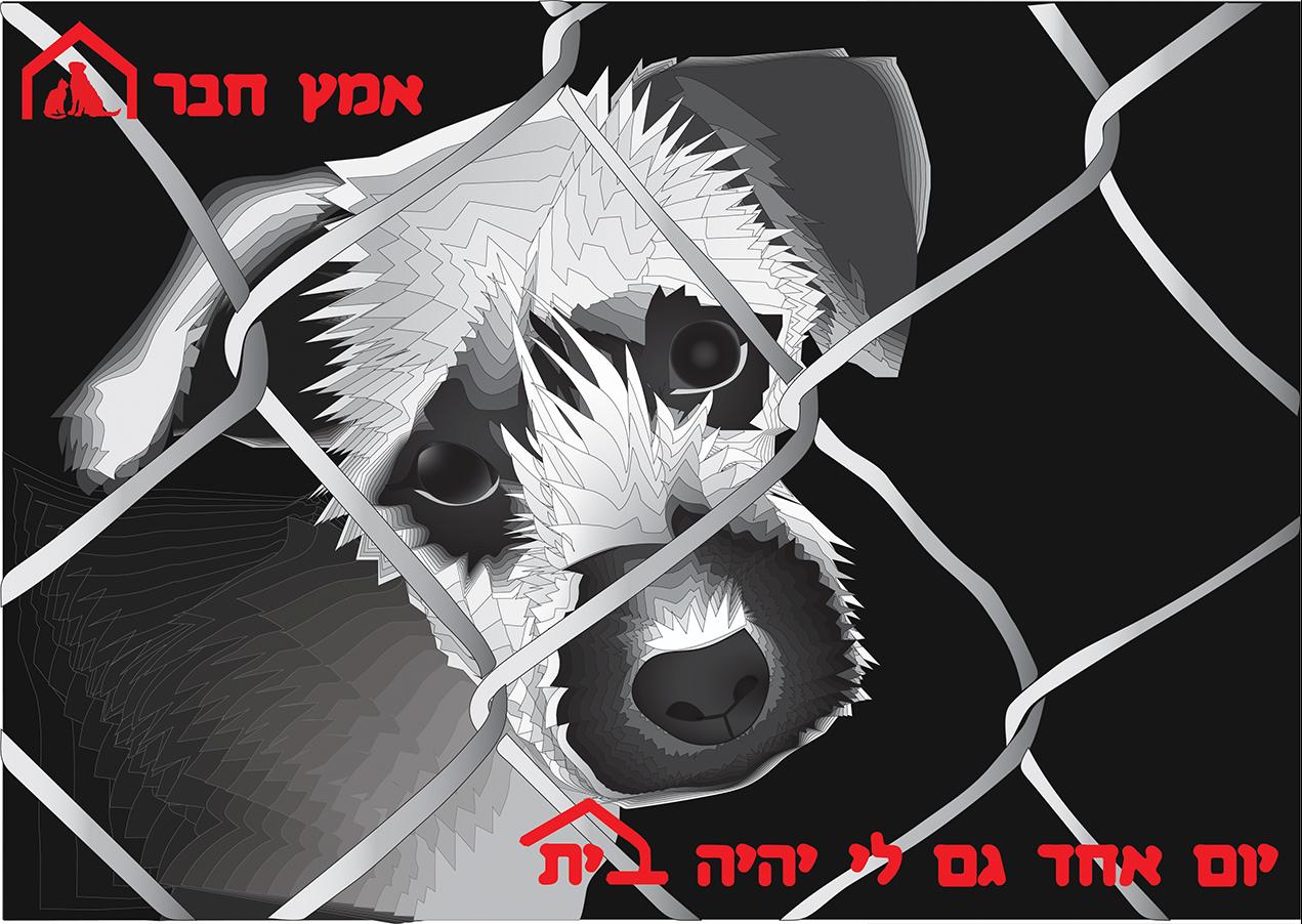 Entry 59079 in Portfolio by דורין גבר עיצוב גרפי