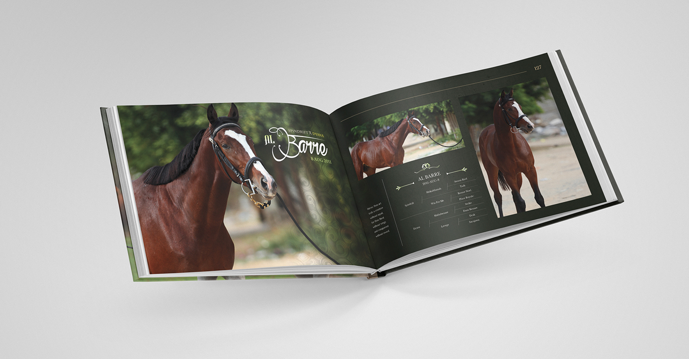 Entry 143060 in AL ASAYIL Catalogue by Haweya company