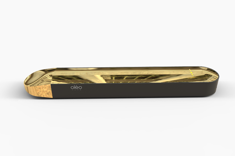 Open Zoomed Related Entry gold 1.42.jpg