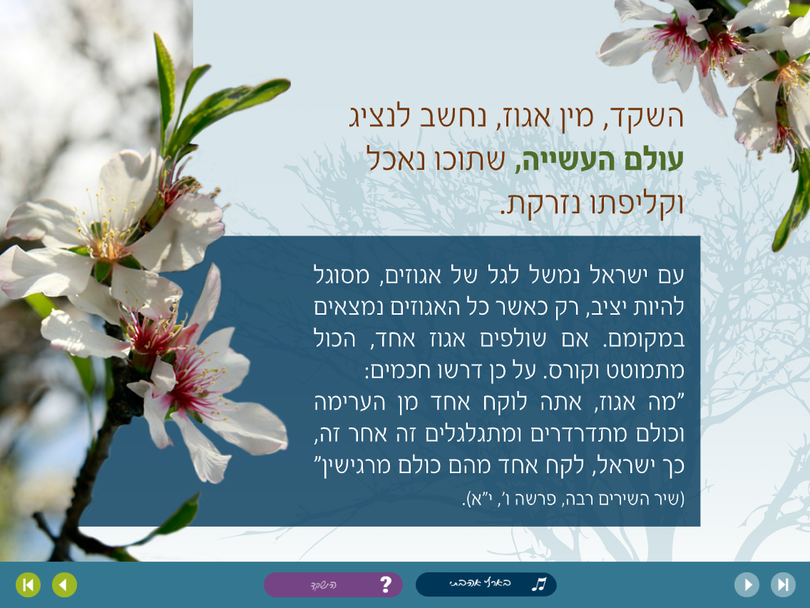 Entry 204659 in UI - ממשקי משתמש by סטודיו bizibug