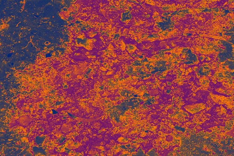 Open Zoomed Related Entry GROUND1.jpg