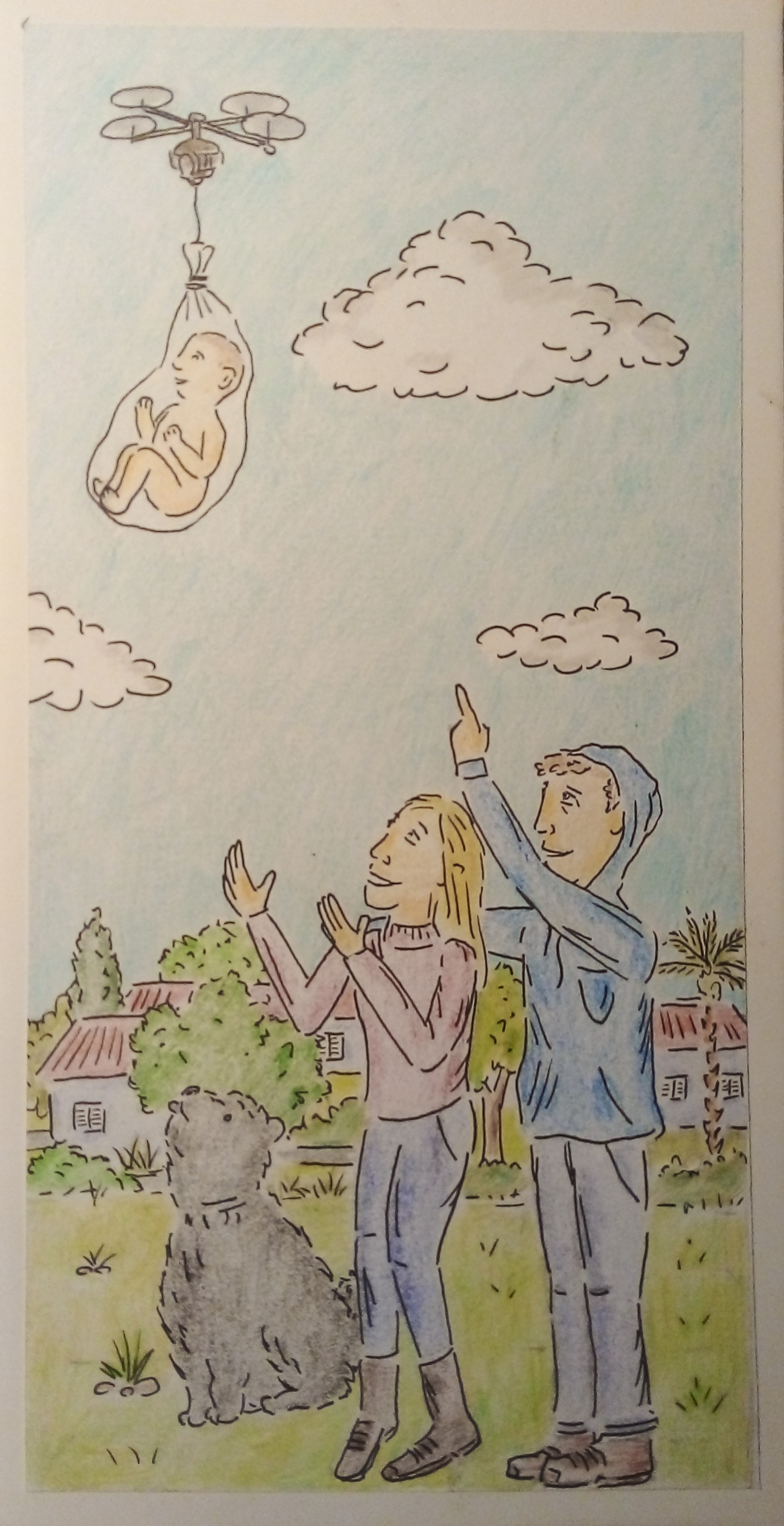 Entry 321043 in Portfolio by יובל אמסטרדם