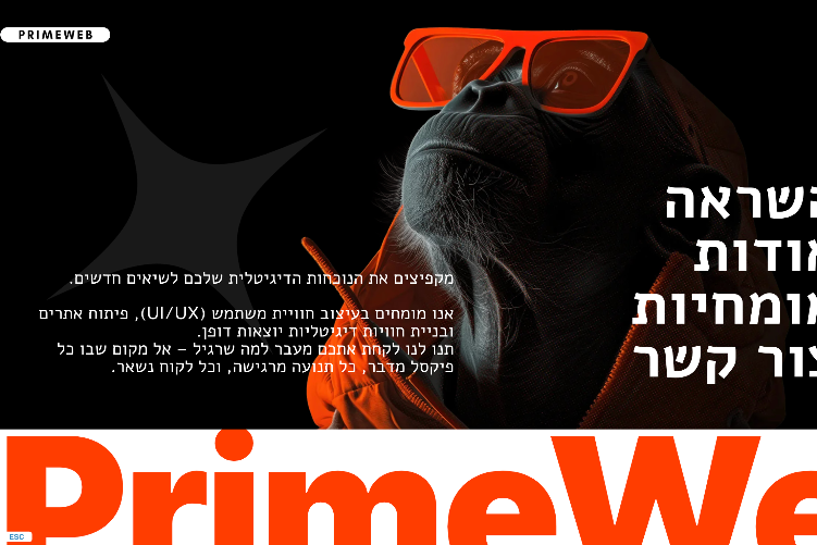 XPlace פרילנסרים | עבודה מהבית לפרילנסר ועבודות פרילנס לפרילנסרים