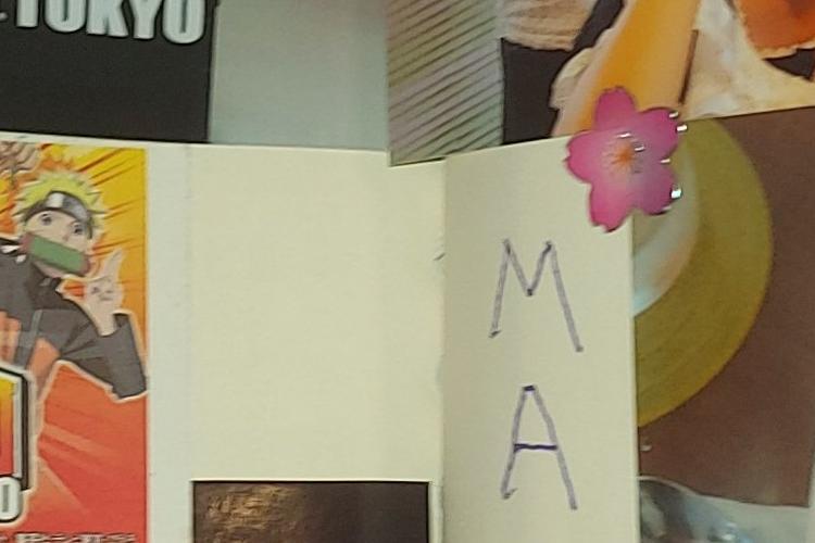Open Zoomed Related Entry טיול יפן מאי 2015- 3.jpg