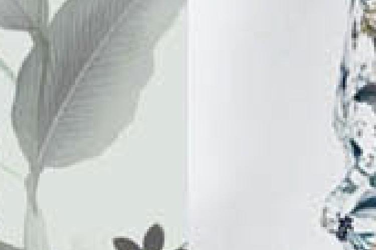 Open Zoomed Related Entry עיצוב פאטרן