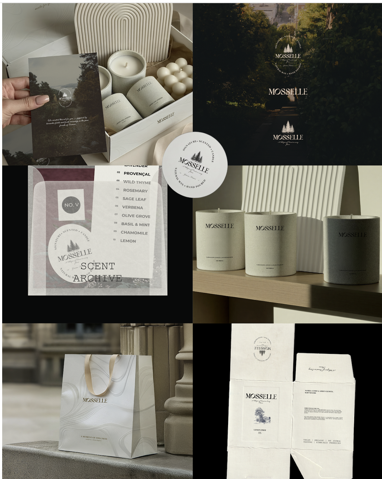 Entry 349958 in Portfolio by Shely Marcel