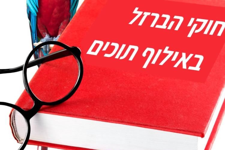 Open Entry 283104 in אפרת סימון- עיצוב לסושיאל by מירב טל CREATION
