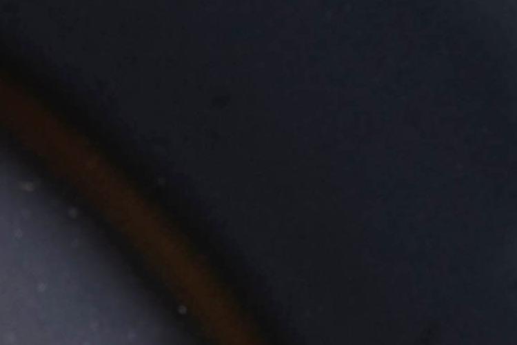 Open Zoomed Related Entry IMG_6769.jpg