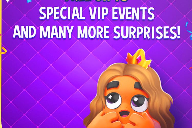 Open Zoomed Related Entry VIP_Update_Mock.png