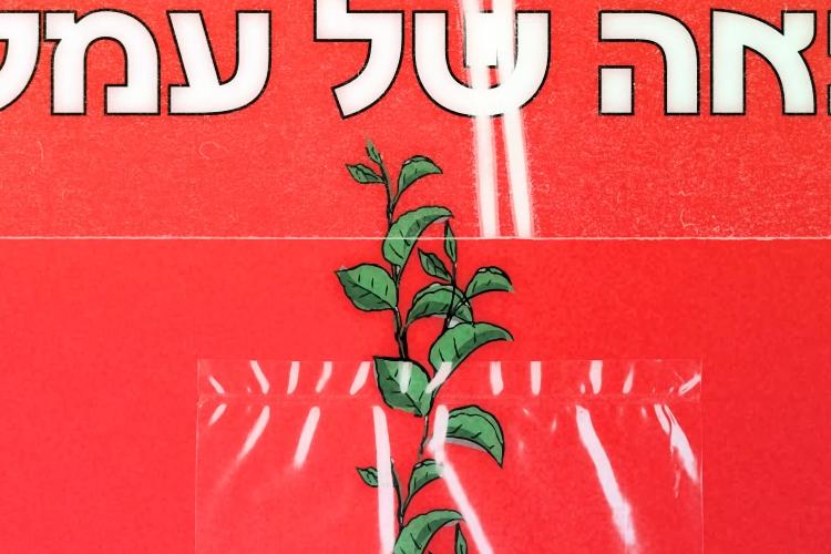 Open Zoomed Related Entry צילום מסך_20221110_132707.png